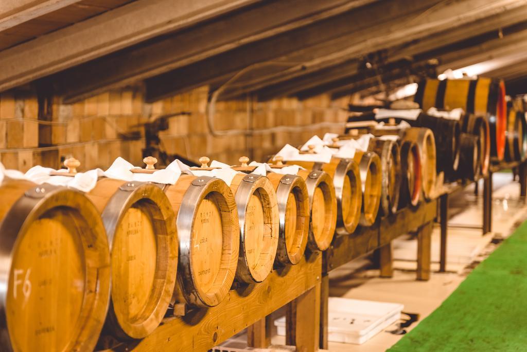 ホテル サン ペレグリーノ Spilamberto エクステリア 写真
