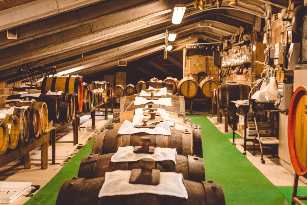 ホテル サン ペレグリーノ Spilamberto エクステリア 写真